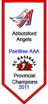 https://abbotsfordangels.teamsnapsites.com/wp-content/uploads/sites/619/2023/12/PW-2011AAAchamps.gif